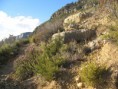 /album/fotogaleria-inicio/ruta-els-tres-esglaons-027-jpg/